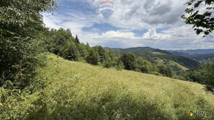 Ochotnica Dolna, ul. , Działki  na sprzedaż, 