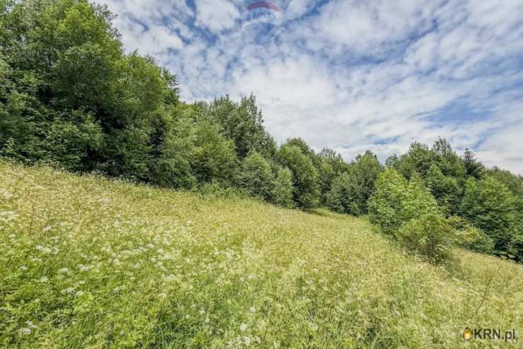 Ochotnica Dolna, ul. , , Działki  na sprzedaż