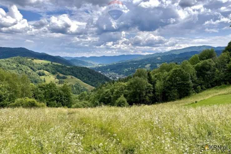 , Ochotnica Dolna, ul. , Działki  na sprzedaż