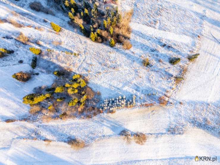 RE/MAX Polska, Działki  na sprzedaż, Szaflary, ul. 