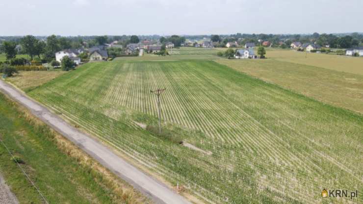 AGENCJA NIERUCHOMOŚCI ŚLĄSK, Działki  na sprzedaż, Kaniów, ul. 