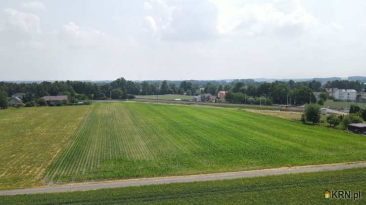 Działki  na sprzedaż, Kaniów, ul. , 