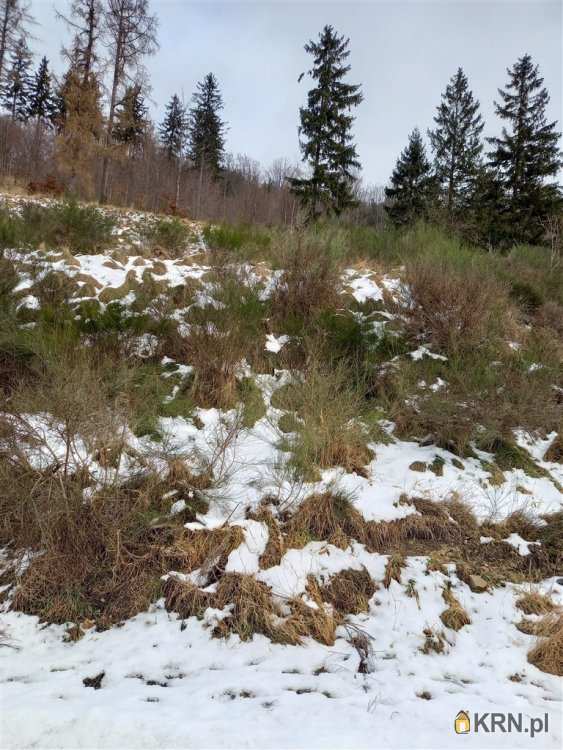 Działki  na sprzedaż, Jedlina-Zdrój, ul. , 