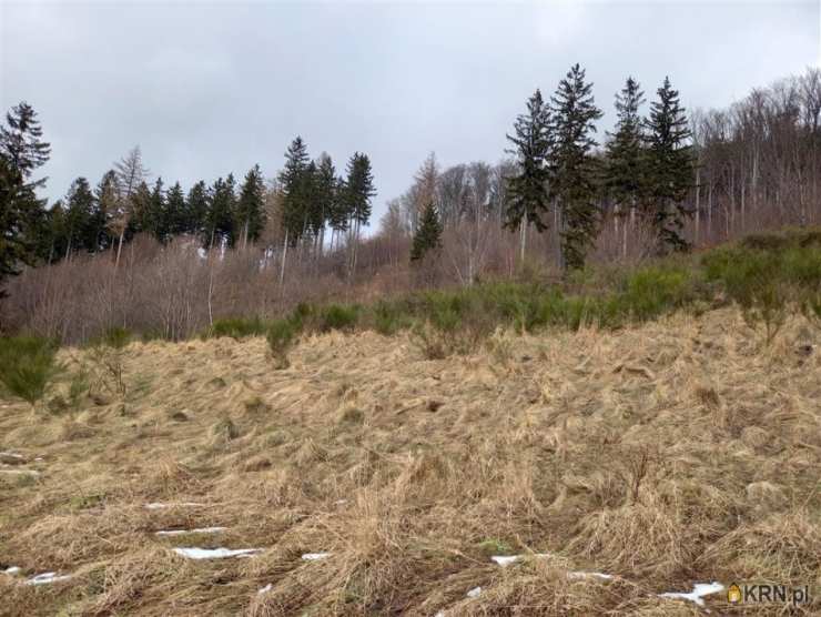 Działki  na sprzedaż, , Jedlina-Zdrój, ul. 