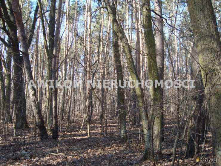 , Książenice, ul. , Działki  na sprzedaż