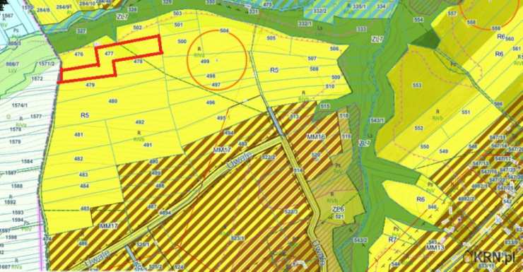 Działki  na sprzedaż, Rychwałd, ul. , 