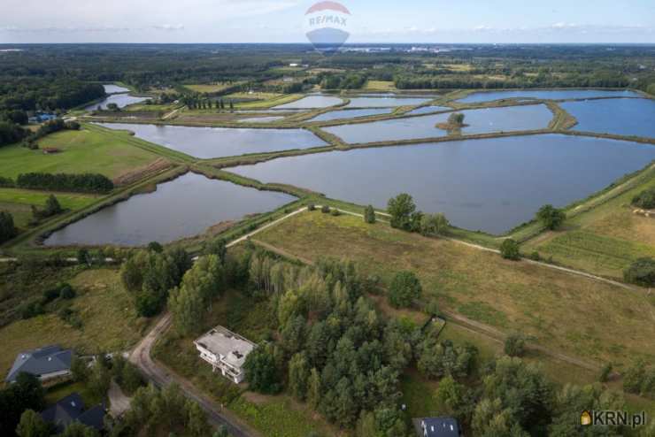 Grzegorzewice, ul. , Działki  na sprzedaż, 