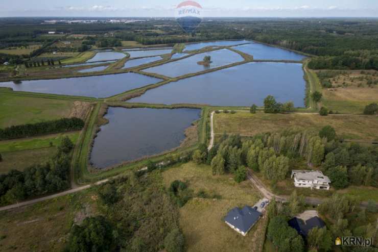 Grzegorzewice, ul. , , Działki  na sprzedaż