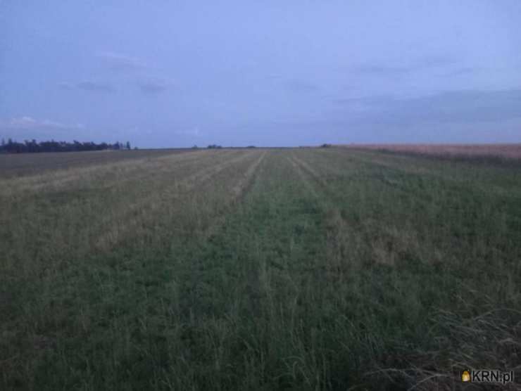 Działki  na sprzedaż, Krupiec, ul. , 