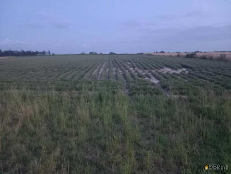 Działki  na sprzedaż, , Krupiec, ul. 