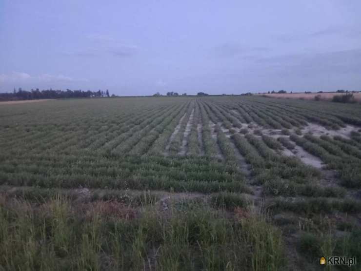 , Krupiec, ul. , Działki  na sprzedaż