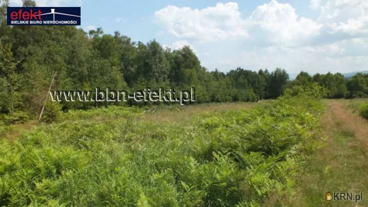 Działki  na sprzedaż, Buczkowice, ul. , 