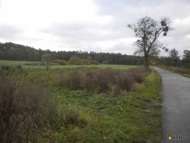 Działki  na sprzedaż, , Kotuń, ul. 