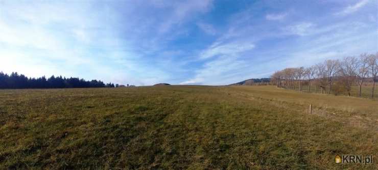 Działki  na sprzedaż, Zagórze Śląskie, ul. , 