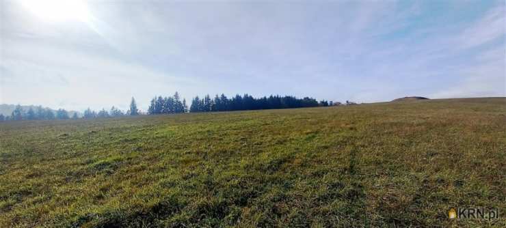 Zagórze Śląskie, ul. , , Działki  na sprzedaż