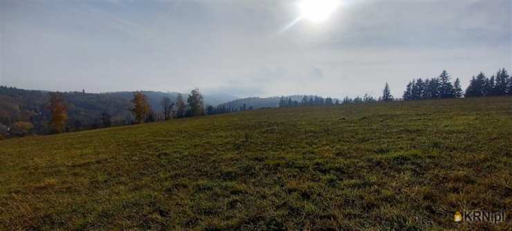 , Działki  na sprzedaż, Zagórze Śląskie, ul. 