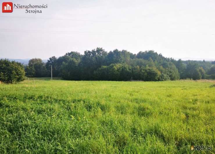 Działki  na sprzedaż, Byszyce, ul. , 