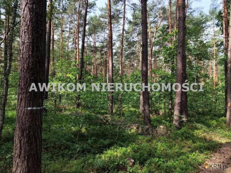 Działki  na sprzedaż, , Grabina Radziwiłłowska, ul. 