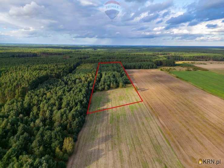 Działki  na sprzedaż, Jędrzejewo, ul. , 