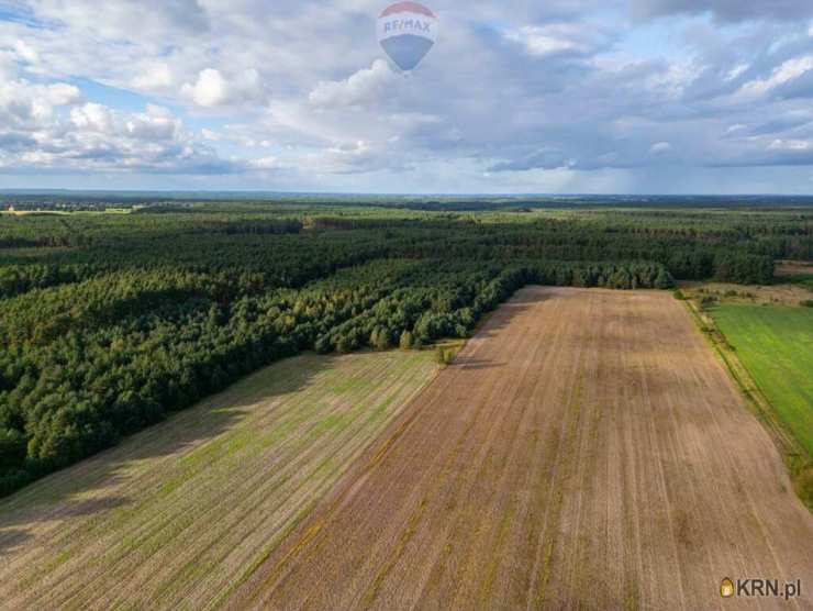 Działki  na sprzedaż, , Jędrzejewo, ul. 
