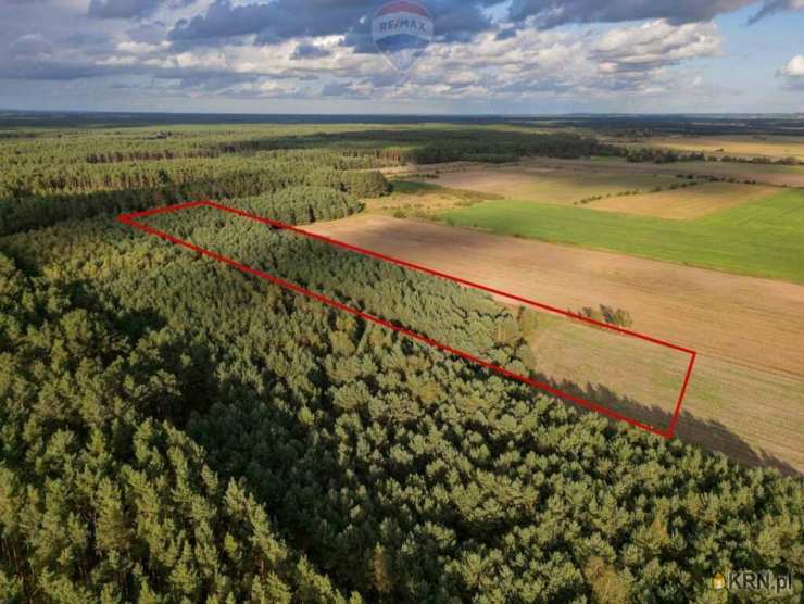 , Jędrzejewo, ul. , Działki  na sprzedaż