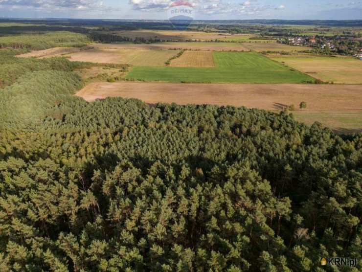 , Działki  na sprzedaż, Jędrzejewo, ul. 