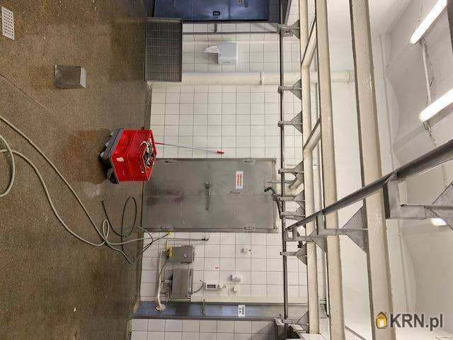 Działki  na sprzedaż, Zdrzewno, ul. , 