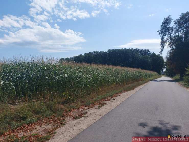 Działki  na sprzedaż, , Krzeczyn, ul. 