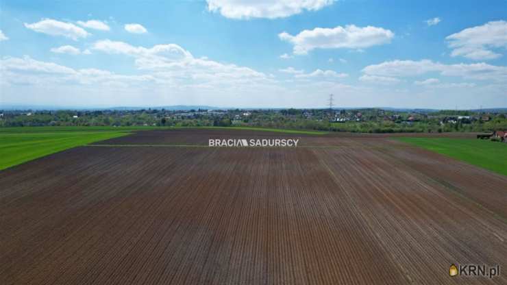 , Młodziejowice, ul. , Działki  na sprzedaż