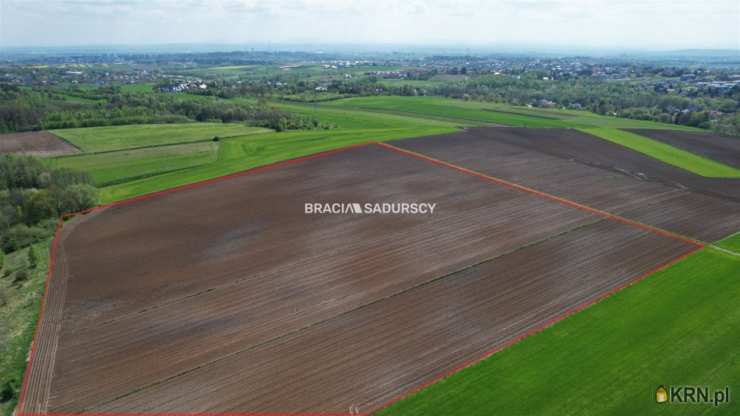 , Działki  na sprzedaż, Młodziejowice, ul. 