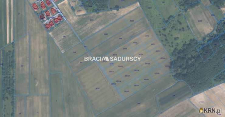 Młodziejowice, ul. , Działki  na sprzedaż, 