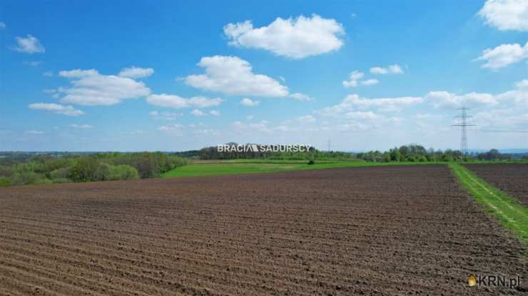 Działki  na sprzedaż, Młodziejowice, ul. , 