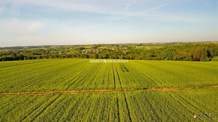 , Działki  na sprzedaż, Młodziejowice, ul. 
