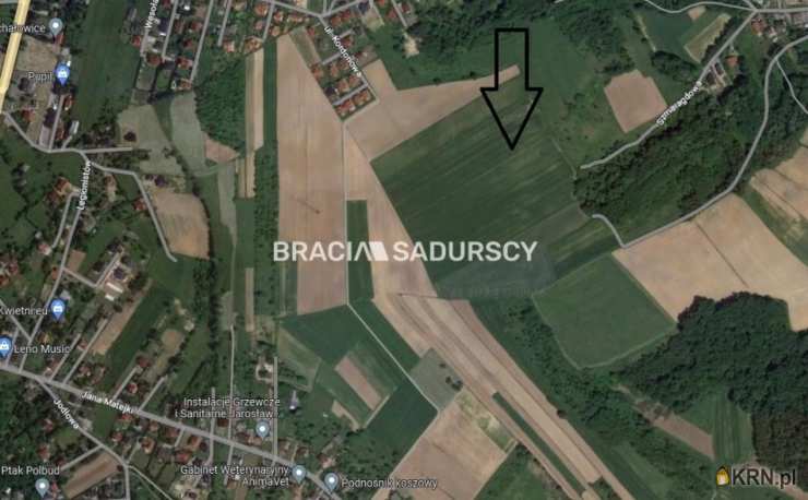 Działki  na sprzedaż, Młodziejowice, ul. , 