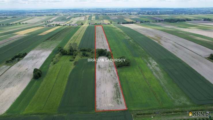 Działki  na sprzedaż, , Prandocin-Iły, ul. 