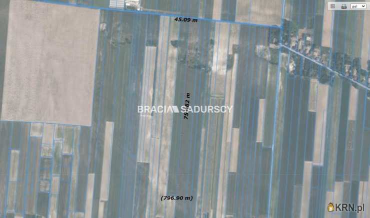 Prandocin-Iły, ul. , Działki  na sprzedaż, 