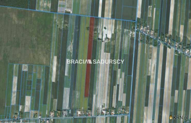 Prandocin-Iły, ul. , , Działki  na sprzedaż