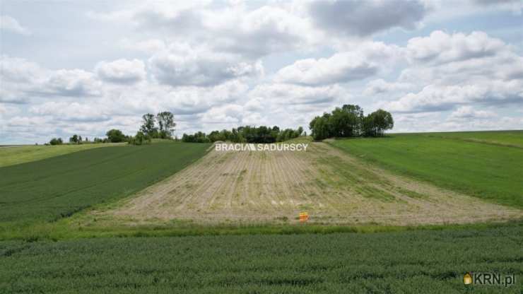 BRACIA SADURSCY NIERUCHOMOŚCI ODDZIAŁ BS5 NOWA HUTA, Działki  na sprzedaż, Prandocin-Iły, ul. 