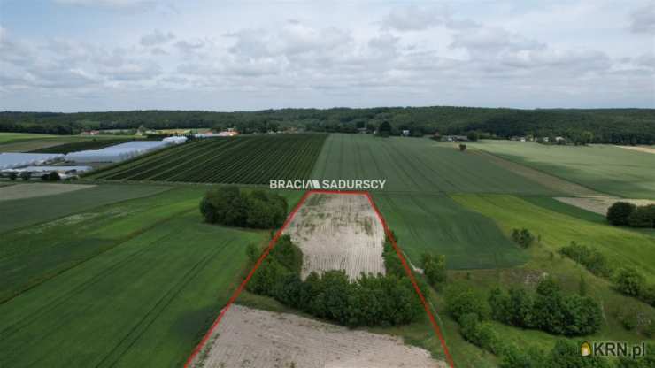 Działki  na sprzedaż, , Prandocin-Iły, ul. 