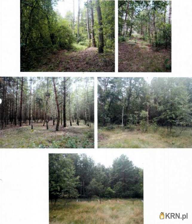 Myślin, ul. , Działki  na sprzedaż, 