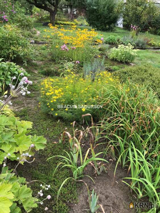 Działki  na sprzedaż, Kraków, Zwierzyniec/Przegorzały, ul. Rybna, 