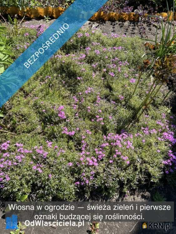 Ząbki, ul. , , Działki  na sprzedaż