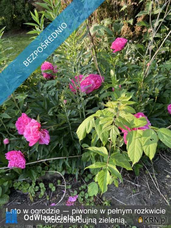 Działki  na sprzedaż, , Ząbki, ul. 