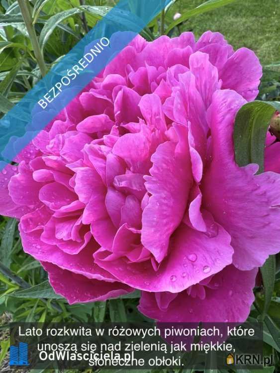 Ząbki, ul. , Działki  na sprzedaż, 