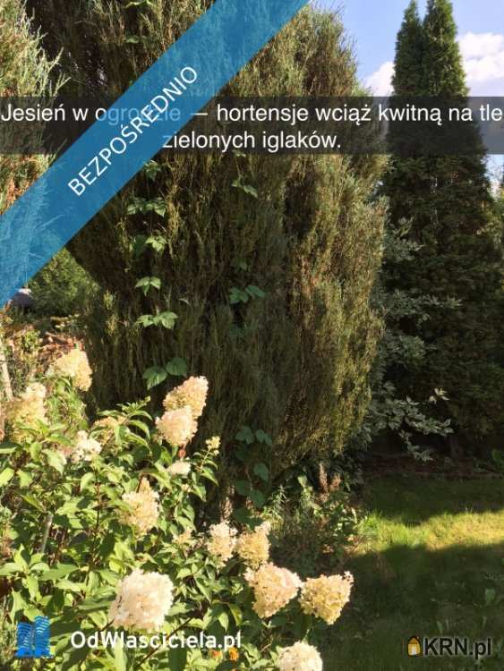 , Ząbki, ul. , Działki  na sprzedaż