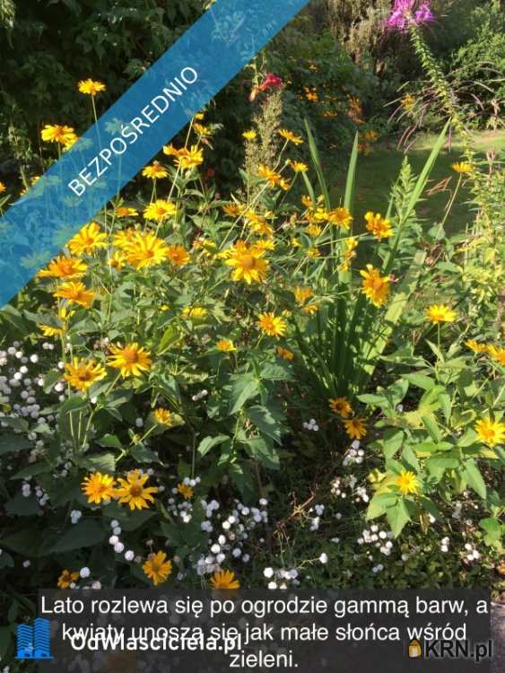 , Działki  na sprzedaż, Ząbki, ul. 