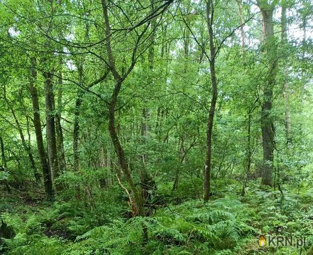 Działki  na sprzedaż, Broczyna, ul. , 