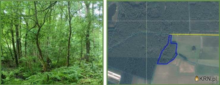 Działki  na sprzedaż, Broczyna, ul. , 