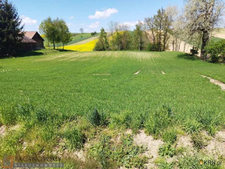 PACANOWSCY NIERUCHOMOŚCI, Działki  na sprzedaż, Kacice, ul. 