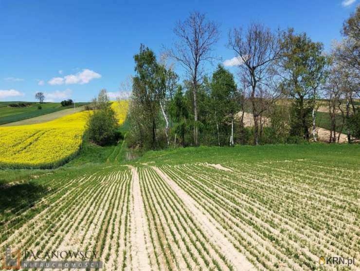PACANOWSCY NIERUCHOMOŚCI, Działki  na sprzedaż, Kacice, ul. 